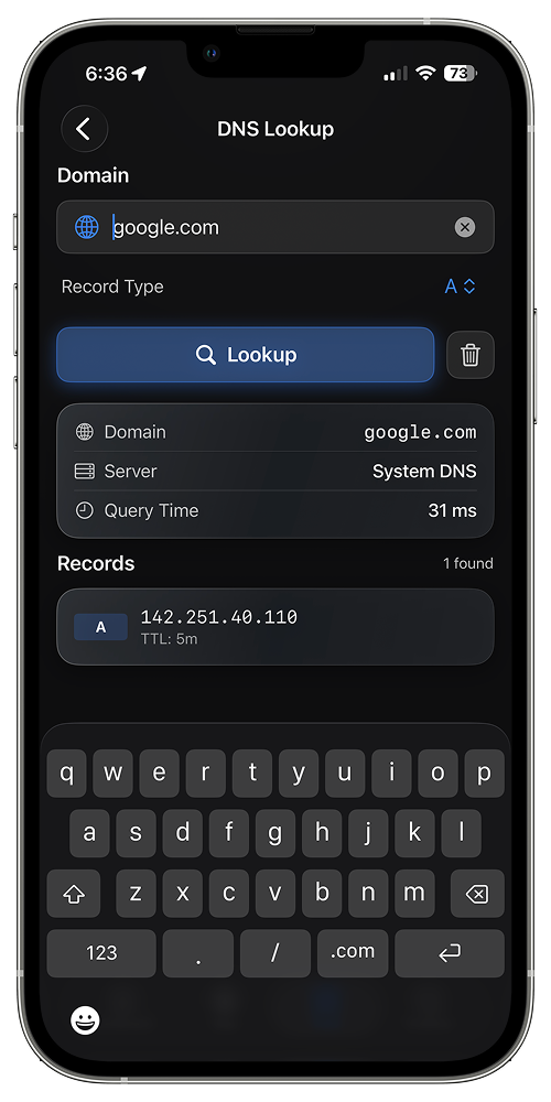 DNS lookup